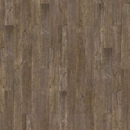 Gallery Mini Renoir S