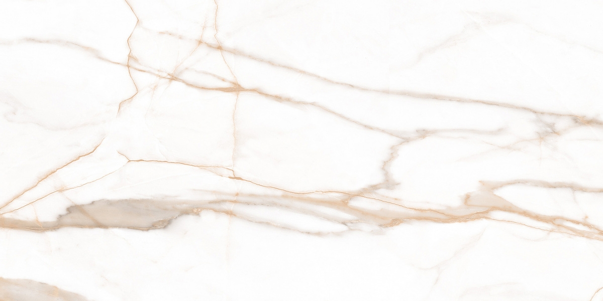 Calacatta Goddes Gold   60120 