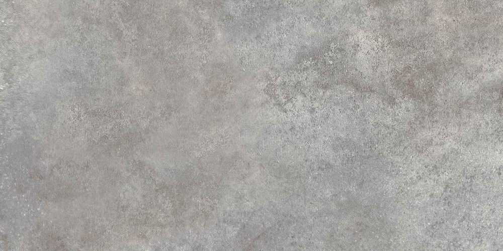 CORNION 
: 600300 