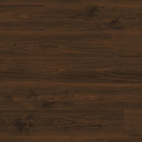 Living Expression 4V ���� ������